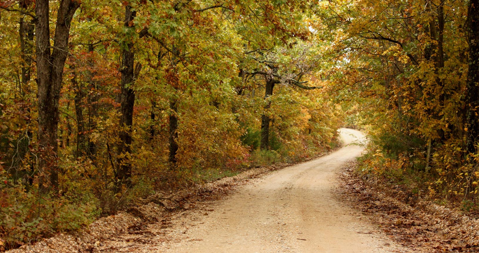 Texas County Memorial Hospital TCMH forest trail Missouri